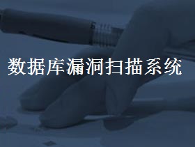 数据库漏洞扫描系统