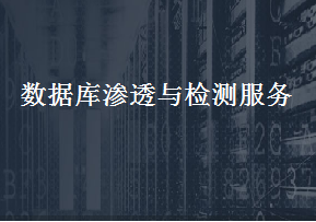 数据库渗透与检测服务